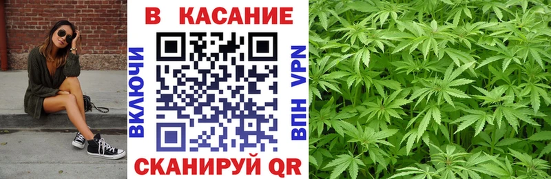Магазины продажи наркотиков Лесосибирск АМФЕТАМИН  гидра как войти  Гашиш  МЕФ  Канабис  Alpha PVP  COCAIN  Псилоцибиновые грибы 