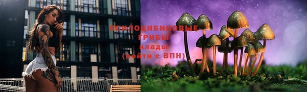 бутират Баксан