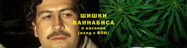 ПСИЛОЦИБИНОВЫЕ ГРИБЫ Балабаново