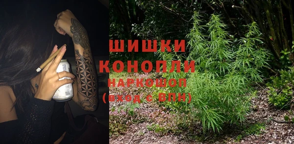 ПСИЛОЦИБИНОВЫЕ ГРИБЫ Балабаново