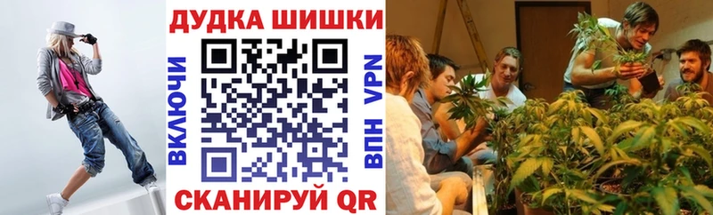 Бошки марихуана Bruce Banner  Лесосибирск 
